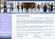 Diseño Web IDG GRUP WEB para CFGS UBAE SEAE