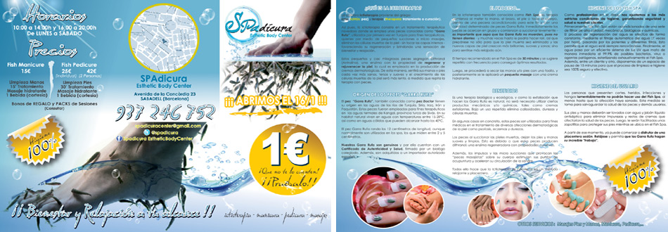 IDG GRUP WEB ::: Imagen Diseño & Gestión Web - Diseño Web - Diseño Imagen Corporativa: Logos, Dipticos, Triptcios, Flyers, Tarjetas, Documentos administrativos (hoja empresa, sobre, factura, albarán,...). Diseño e Imprenta en gran formato. ::: Diseño Tríptico SPADICURA