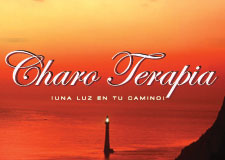 IDG GRUP WEB: Diseñamos tu imagen corporativa. Diseño de logos, logotipos, isotipos, imagotipos, papelería corporativa: tarjetas, hojas de carta, hojas de factura, albaranes, sobres, sellos de empresa,... Todo tipo de publicidad en diseño gráfico, diseño web, rotulación e imprenta en todos los formatos y soportes. Logo CHARO TERAPIA