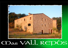 IDG GRUP WEB: Diseñamos tu imagen corporativa. Diseño de logos, logotipos, isotipos, imagotipos, papelería corporativa: tarjetas, hojas de carta, hojas de factura, albaranes, sobres, sellos de empresa,... Todo tipo de publicidad en diseño gráfico, diseño web, rotulación e imprenta en todos los formatos y soportes - Logo MAS VALL REPOS