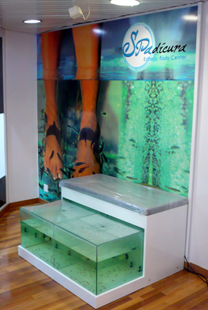 DISEÑO Y COLOCACIÓN DE ROTULOS COMERCIALES - LUMINOSOS. METACRILATOS. VINILOS DE IMPRESIÓN. VINIOS DE CORTE. VINILOS MONOMÉRICOS. VINILOS POLIMÉRICOS. Cliente: SPADICURA. Terrassa. Barcelona