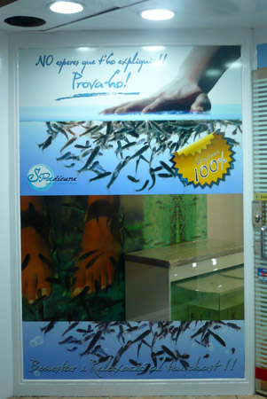 DISEÑO Y COLOCACIÓN DE ROTULOS COMERCIALES - LUMINOSOS. METACRILATOS. VINILOS DE IMPRESIÓN. VINIOS DE CORTE. VINILOS MONOMÉRICOS. VINILOS POLIMÉRICOS. Cliente: SPADICURA. Terrassa. Barcelona