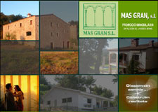 Diseño Web IDG GRUP WEB para MAS GRAN