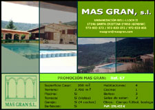 Diseño Web IDG GRUP WEB para MAS GRAN