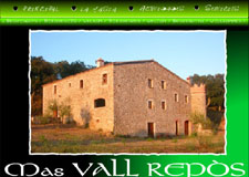 Diseño Web IDG GRUP WEB para MAS VALL REPOS