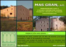 Diseño Web IDG GRUP WEB para MAS GRAN